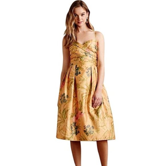 Anthropologie Dresses & Skirts - Anthropologie James Coviello Botanica Dress NWT